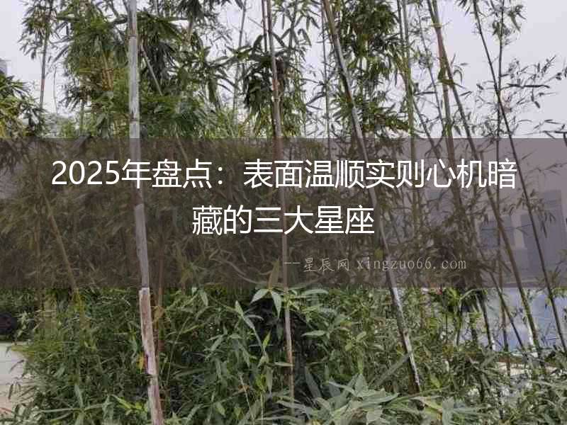 2025年盤點：表面溫順實則心機暗藏的三大星座