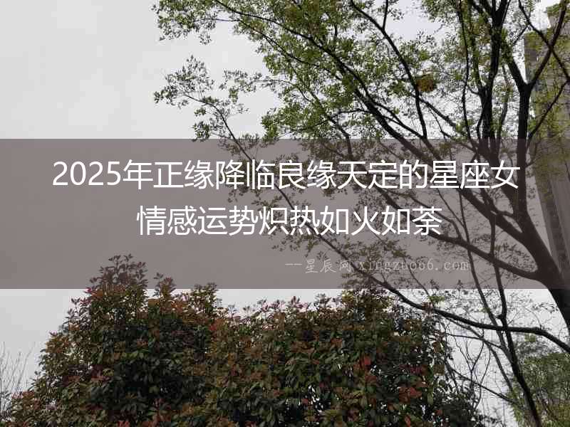 2025年正緣降臨良緣天定的星座女 情感運勢熾熱如火如荼