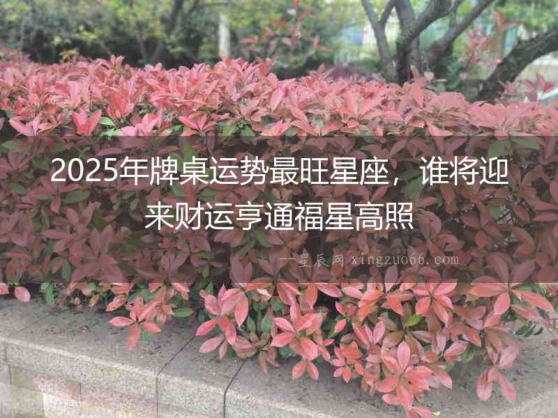 2025年牌桌運勢最旺星座，誰將迎來財運亨通福星高照