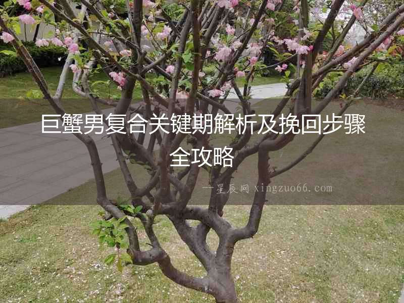 巨蟹男復合關鍵期解析及挽回步驟全攻略