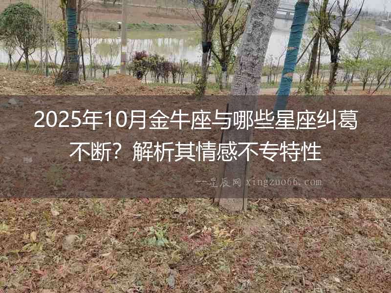 2025年10月金牛座與哪些星座糾葛不斷？解析其情感不專特性