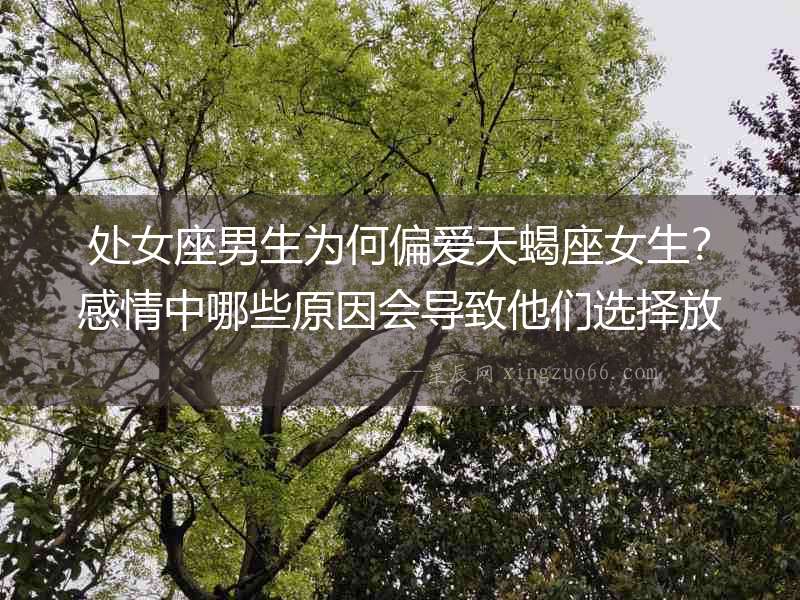 處女座男生為何偏愛天蝎座女生？感情中哪些原因會導致他們選擇放手？