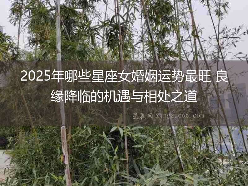 2025年哪些星座女婚姻運勢最旺 良緣降臨的機遇與相處之道