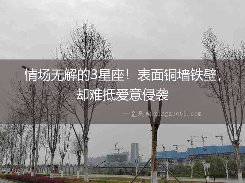 情場無解的3星座！表面銅墻鐵壁，卻難抵愛意侵襲