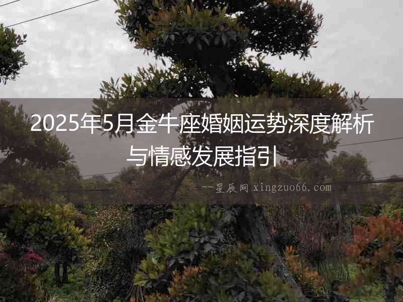 2025年5月金牛座婚姻運勢深度解析與情感發展指引