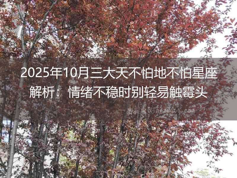 2025年10月三大天不怕地不怕星座解析：情緒不穩時別輕易觸霉頭