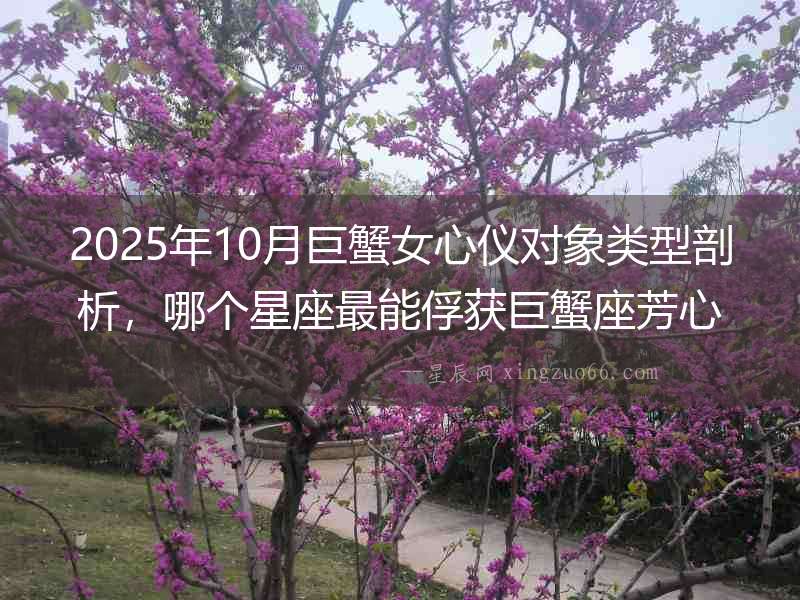 2025年10月巨蟹女心儀對象類型剖析，哪個星座最能俘獲巨蟹座芳心