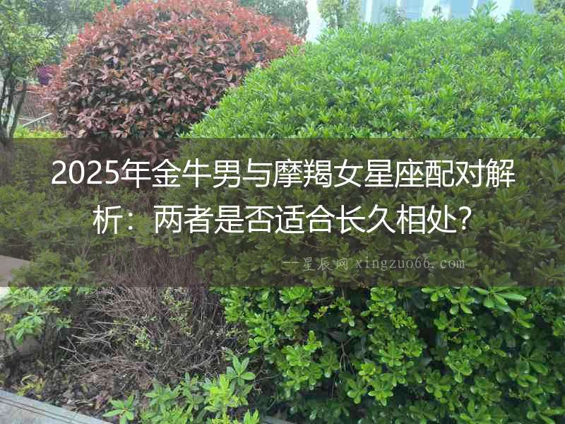 2025年金牛男與摩羯女星座配對解析：兩者是否適合長久相處？