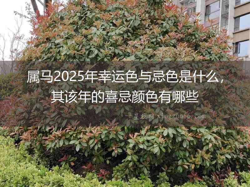 屬馬2025年幸運色與忌色是什么，其該年的喜忌顏色有哪些