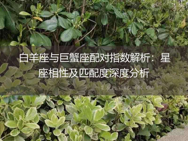 白羊座與巨蟹座配對指數解析：星座相性及匹配度深度分析