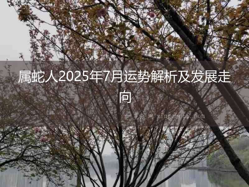 屬蛇人2025年7月運(yùn)勢(shì)解析及發(fā)展走向