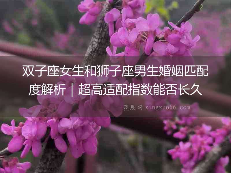 雙子座女生和獅子座男生婚姻匹配度解析｜超高適配指數能否長久
