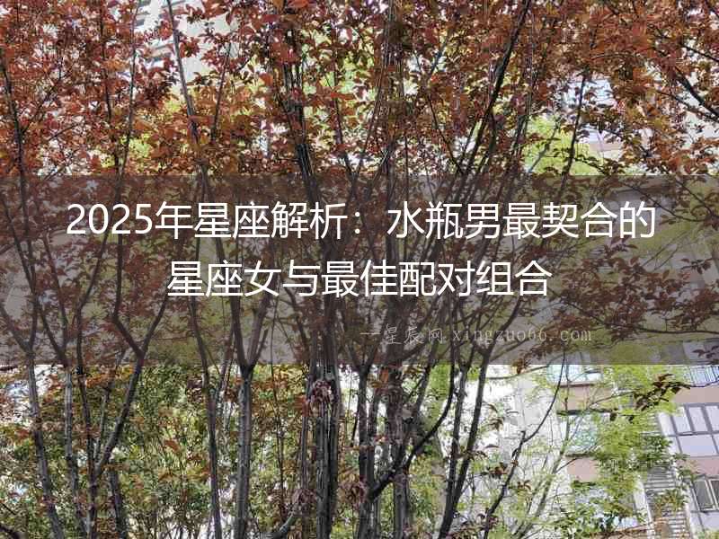 2025年星座解析：水瓶男最契合的星座女與最佳配對組合