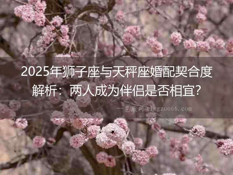2025年獅子座與天秤座婚配契合度解析：兩人成為伴侶是否相宜？