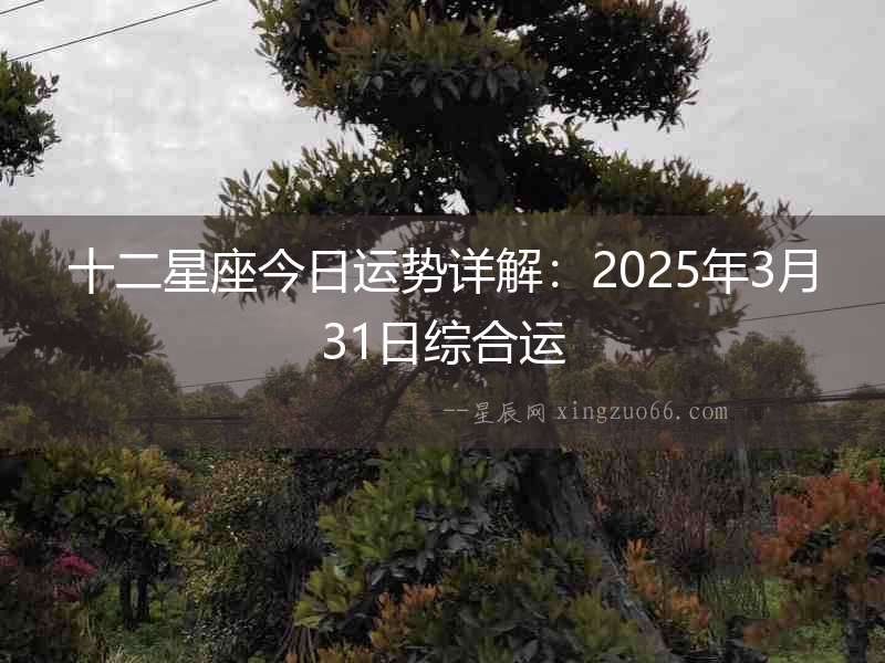 十二星座今日運勢詳解：2025年3月31日綜合運