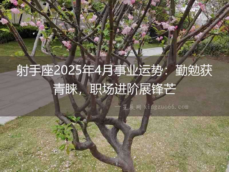 射手座2025年4月事業運勢：勤勉獲青睞，職場進階展鋒芒