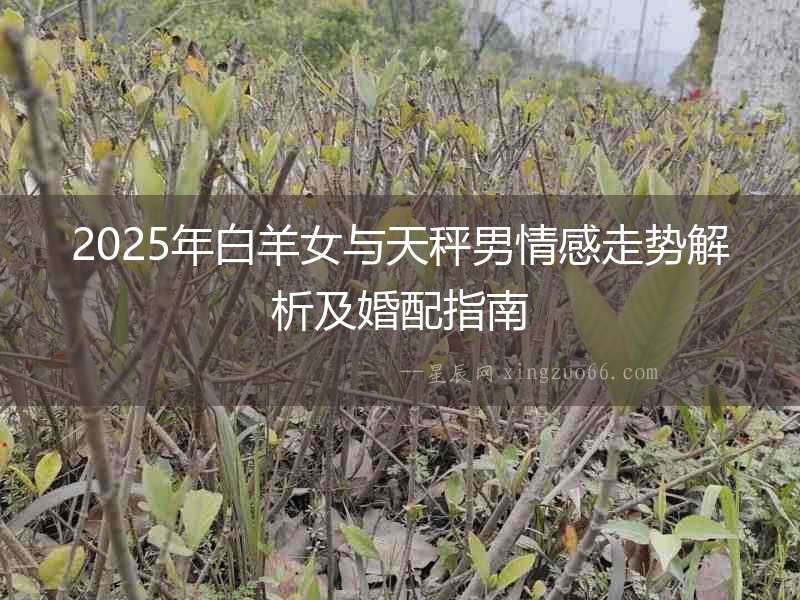 2025年白羊女與天秤男情感走勢解析及婚配指南