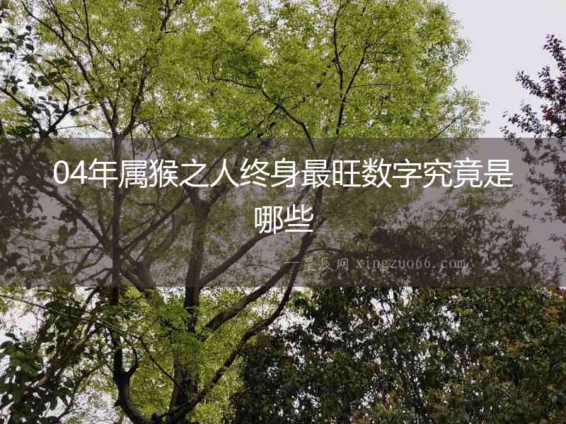 04年屬猴之人終身最旺數(shù)字究竟是哪些
