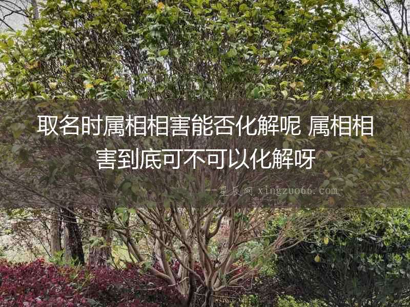 取名時(shí)屬相相害能否化解呢 屬相相害到底可不可以化解呀