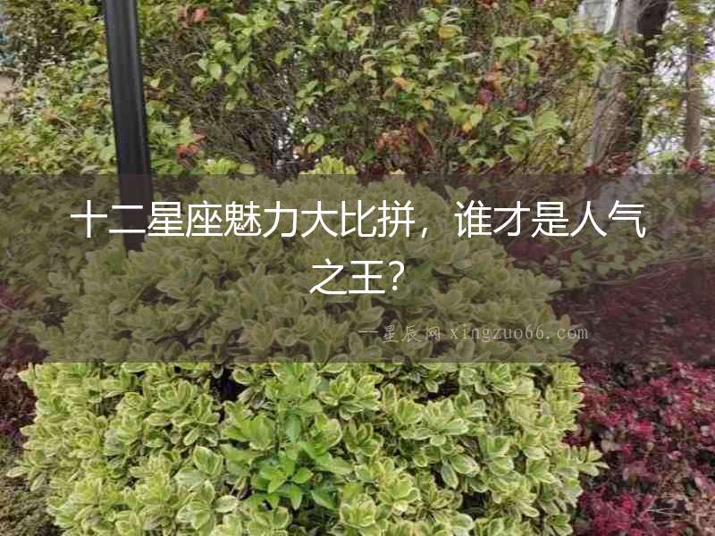 十二星座魅力大比拼，誰才是人氣之王？