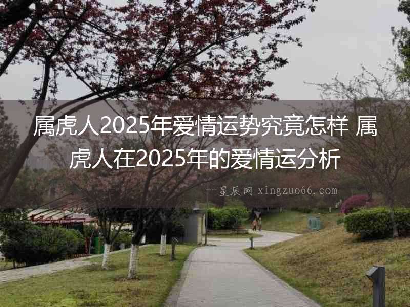 屬虎人2025年愛情運勢究竟怎樣 屬虎人在2025年的愛情運分析