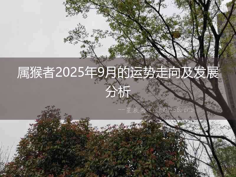 屬猴者2025年9月的運(yùn)勢(shì)走向及發(fā)展分析