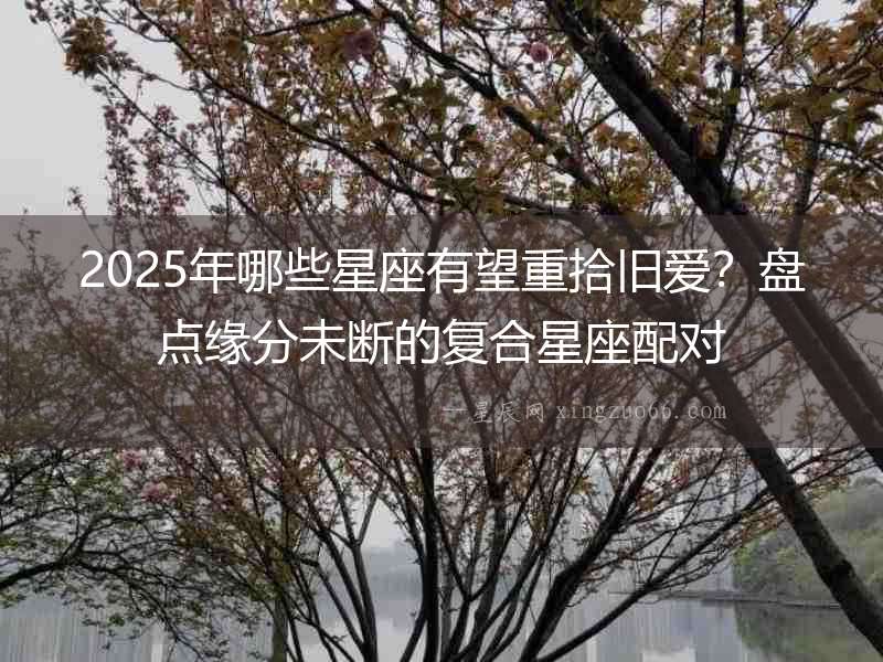 2025年哪些星座有望重拾舊愛？盤點緣分未斷的復合星座配對