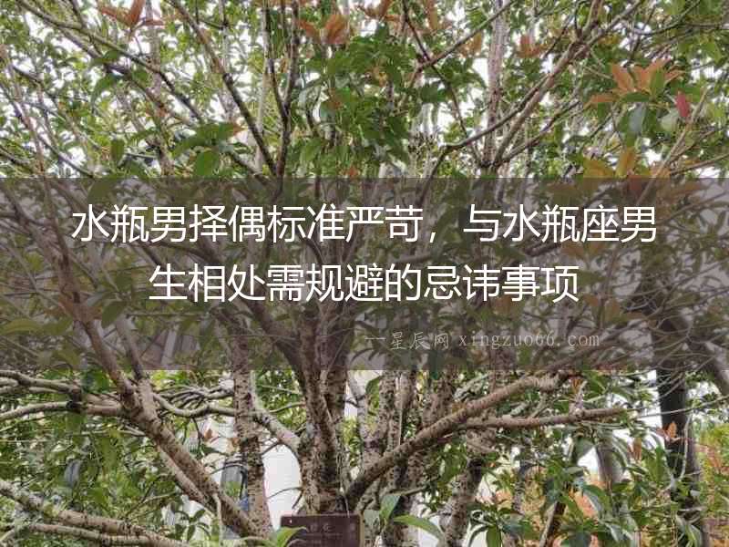 水瓶男擇偶標準嚴苛，與水瓶座男生相處需規避的忌諱事項
