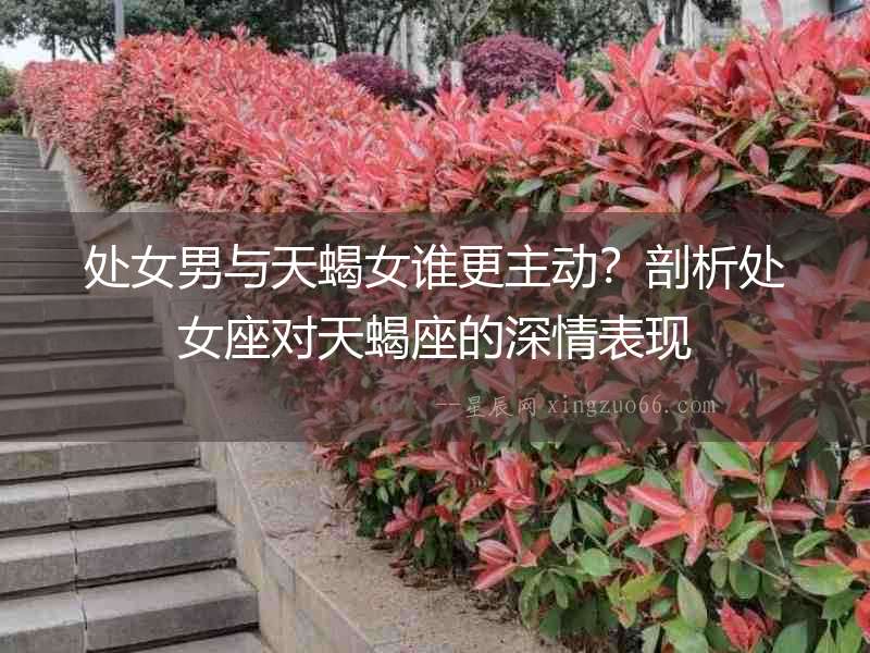 處女男與天蝎女誰更主動？剖析處女座對天蝎座的深情表現