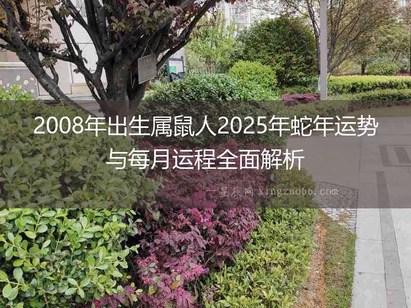 2008年出生屬鼠人2025年蛇年運勢與每月運程全面解析