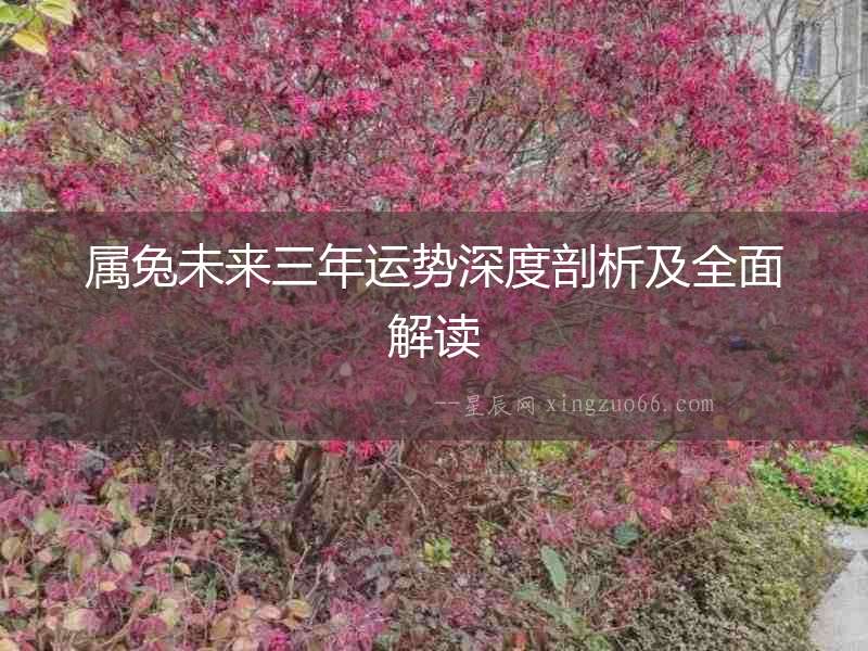 屬兔未來三年運勢深度剖析及全面解讀