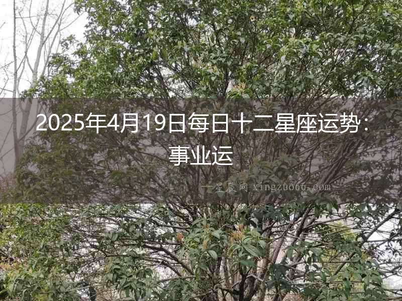 2025年4月19日每日十二星座運勢：事業運
