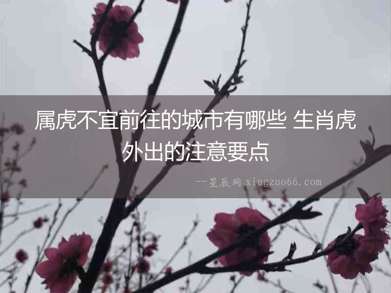 屬虎不宜前往的城市有哪些 生肖虎外出的注意要點