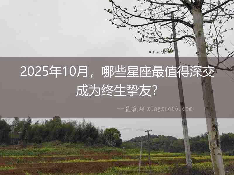 2025年10月，哪些星座最值得深交成為終生摯友？