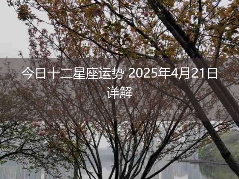 今日十二星座運勢 2025年4月21日詳解