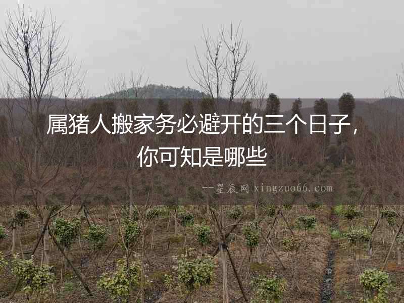 屬豬人搬家務必避開的三個日子，你可知是哪些