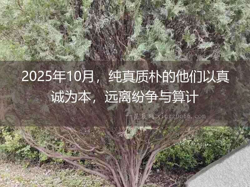 2025年10月，純真質(zhì)樸的他們以真誠為本，遠(yuǎn)離紛爭與算計(jì)