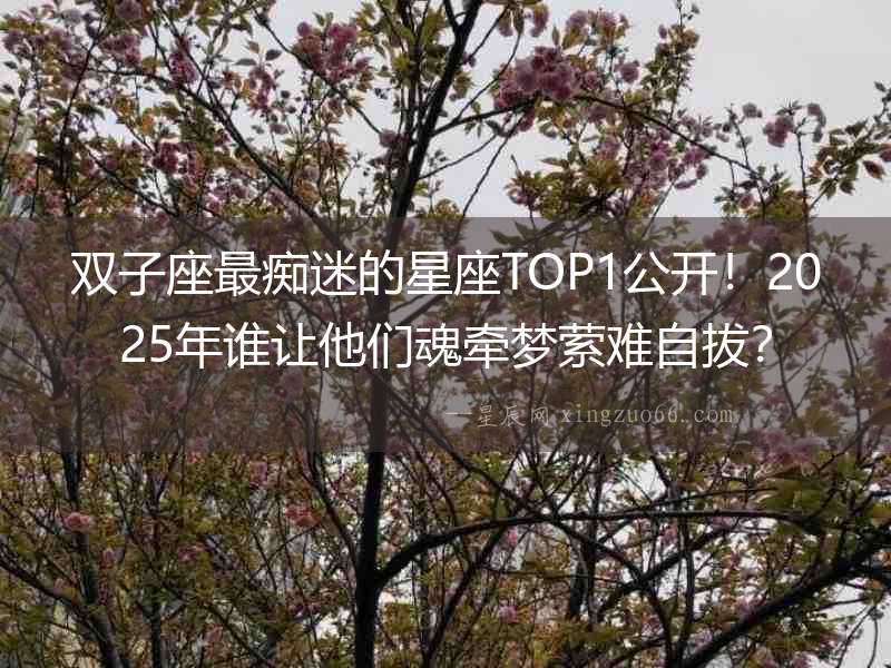 雙子座最癡迷的星座TOP1公開！2025年誰讓他們魂?duì)繅?mèng)縈難自拔？