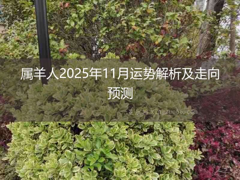 屬羊人2025年11月運(yùn)勢(shì)解析及走向預(yù)測(cè)