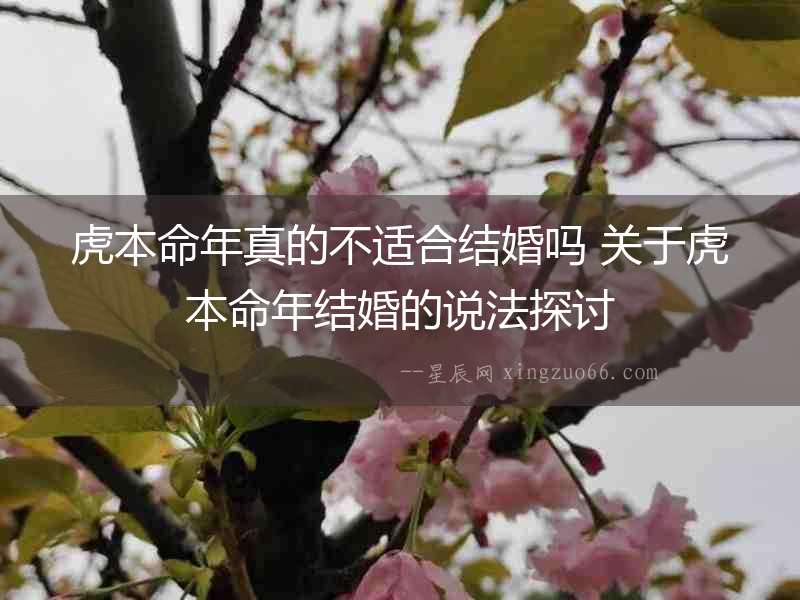 虎本命年真的不適合結(jié)婚嗎 關(guān)于虎本命年結(jié)婚的說法探討