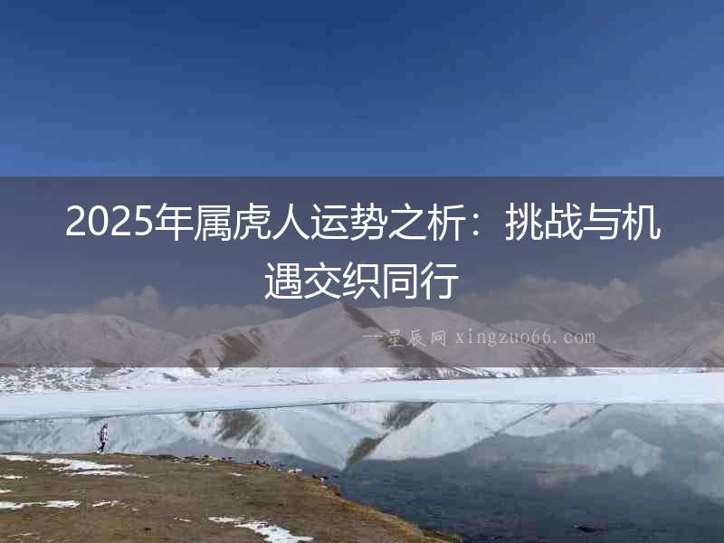 2025年屬虎人運(yùn)勢(shì)之析：挑戰(zhàn)與機(jī)遇交織同行