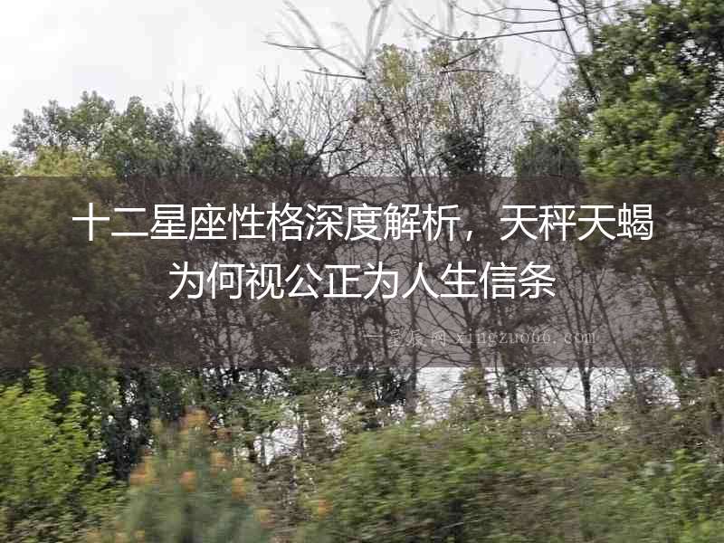 十二星座性格深度解析，天秤天蝎為何視公正為人生信條