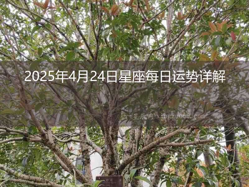 2025年4月24日星座每日運(yùn)勢(shì)詳解