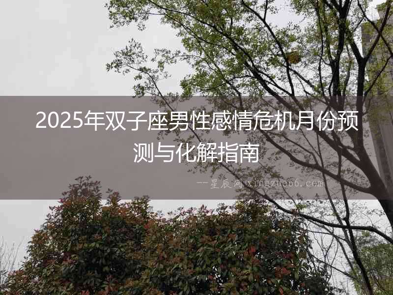 2025年雙子座男性感情危機(jī)月份預(yù)測(cè)與化解指南