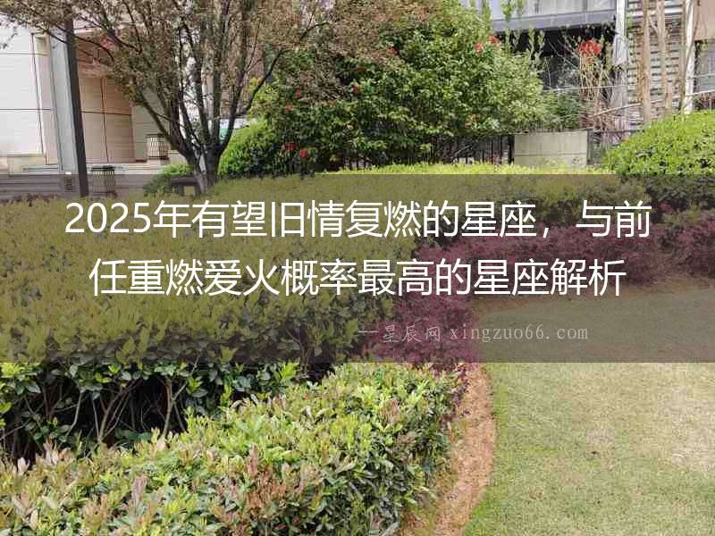 2025年有望舊情復(fù)燃的星座，與前任重燃愛火概率最高的星座解析