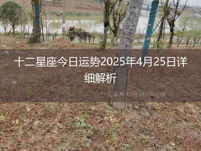 十二星座今日運(yùn)勢(shì)2025年4月25日詳細(xì)解析