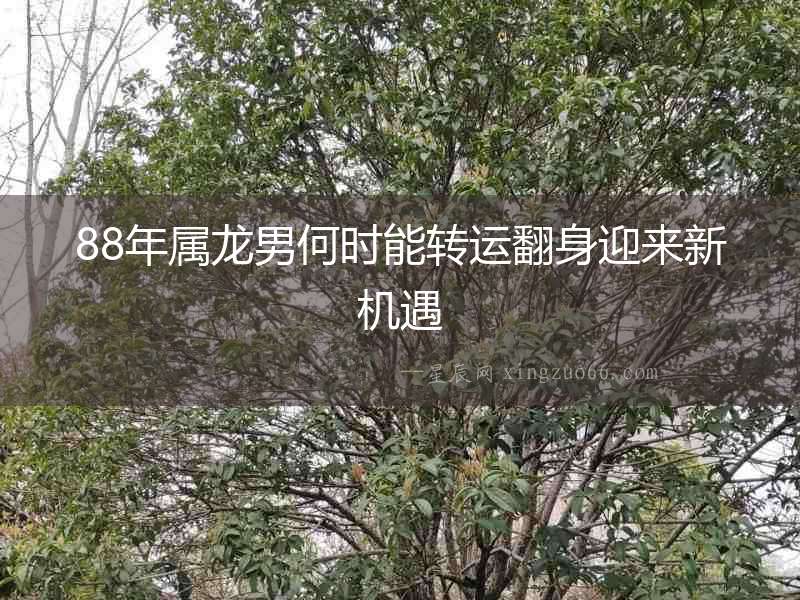 88年屬龍男何時(shí)能轉(zhuǎn)運(yùn)翻身迎來新機(jī)遇