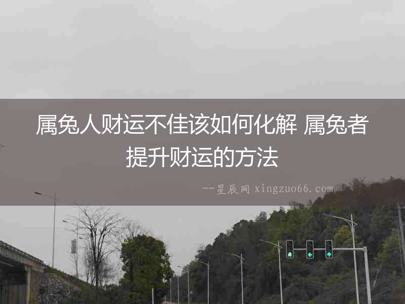屬兔人財(cái)運(yùn)不佳該如何化解 屬兔者提升財(cái)運(yùn)的方法