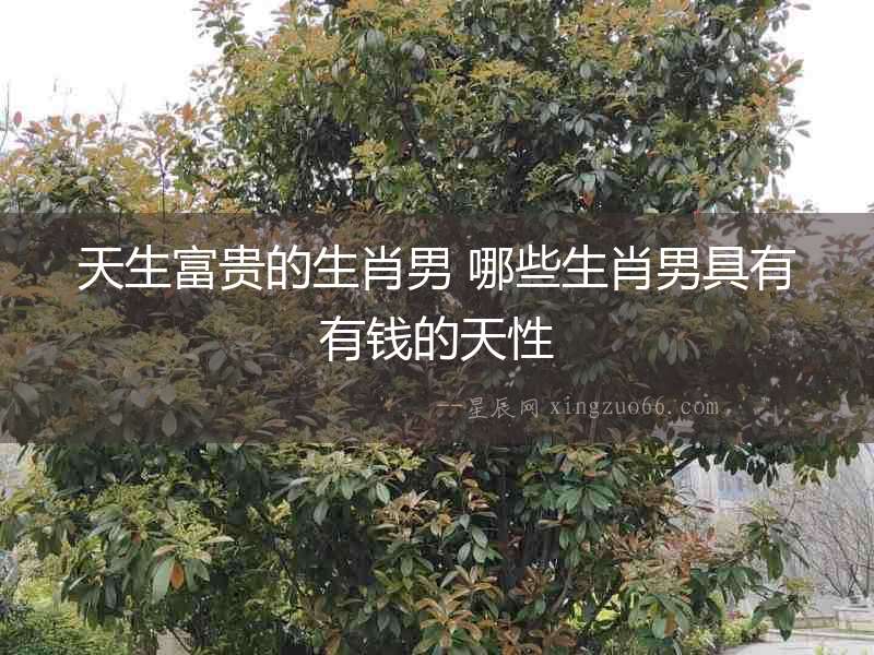 天生富貴的生肖男 哪些生肖男具有有錢的天性