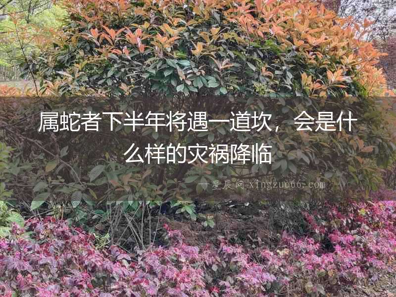 屬蛇者下半年將遇一道坎，會是什么樣的災禍降臨